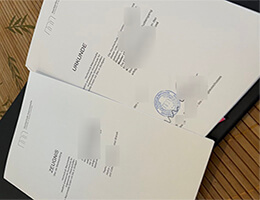 Hochschule Macromedia Novelty Urkunde