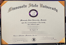 Minnesota State University, Mankato Credentials