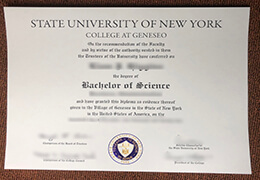 SUNY Geneseo Credentials