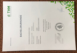 Technische Hochschule Mittelhessen Qualification