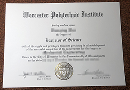 Worcester Polytechnic Institute Qualification Credentials