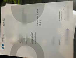 Hochschule Bonn-Rhein-Sieg Credentials Credentials