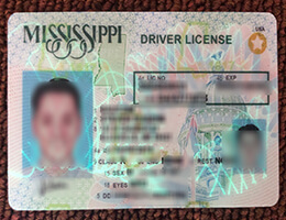 Mississippi Novelty Drivers License