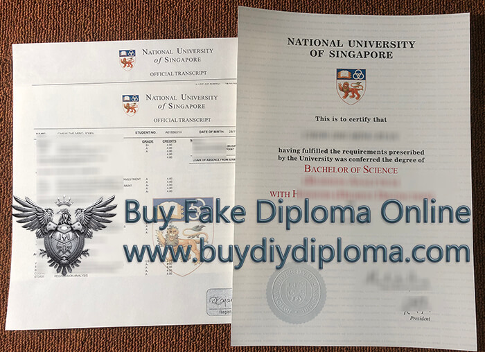 National University Of Singapore Qualification And Academic record National University Of Singapore Qualification And Academic record