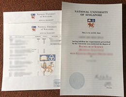 National University Of Singapore Qualification with Academic record