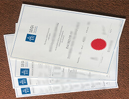 SEGi University Qualification And Academic record