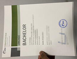 SRH Heidelberg Qualification Credentials