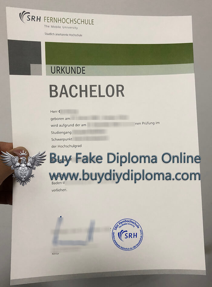 SRH Heidelberg Qualification