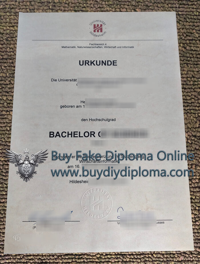 University of Hildesheim Urkunde University of Hildesheim Urkunde