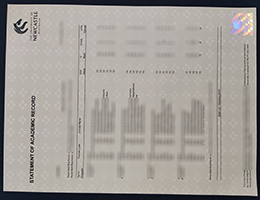 University of Newcastle Academic record