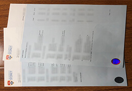 University of Sydney Academic record