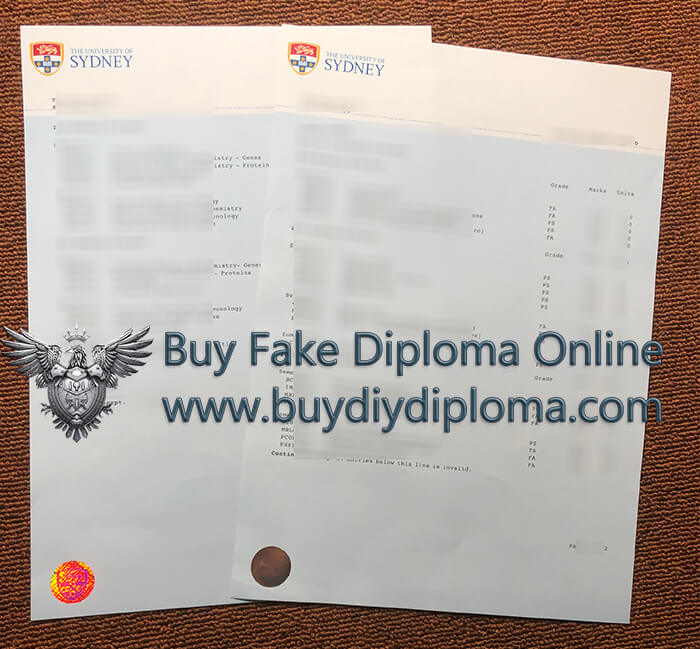 University of Sydney Academic record