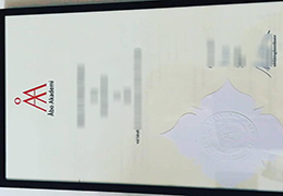 Åbo Akademi University Credentials