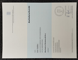 HAW Hamburg Qualification, HAW Hamburg Urkunde