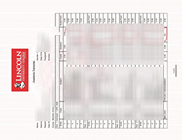 Lincoln University College Academic record sample