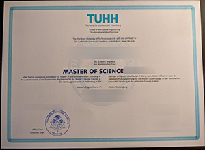 Technische Universität Hamburg Credentials, TUHH Qualification