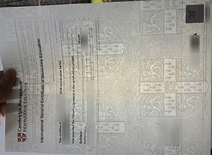 Cambridge IGCSE Credentials 2022