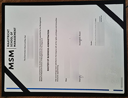 Maastricht School of Management Credentials