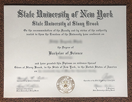 Stony Brook University BSc Credentials