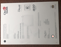 City Guilds level 3 Award Credentials