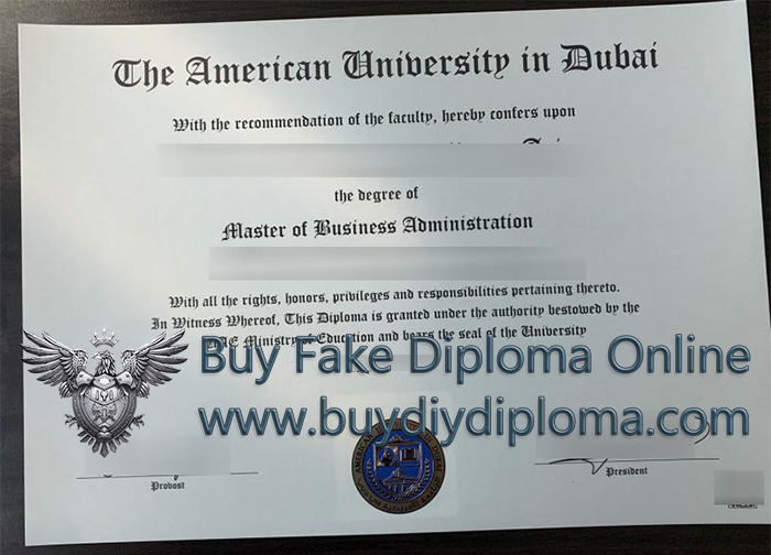 American University in Dubai Credentials