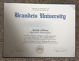 Brandeis University Credentials