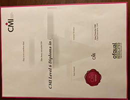 CMI Level 6 Credentials sample