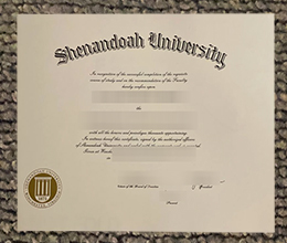 Shenandoah University Qualification Credentials