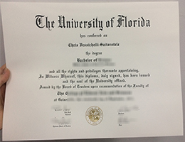 University Of Florida Credentials Credentials