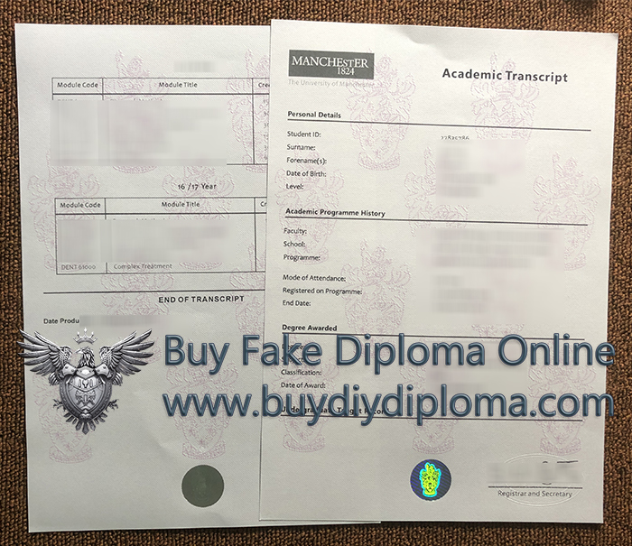 University Of Manchester Academic record