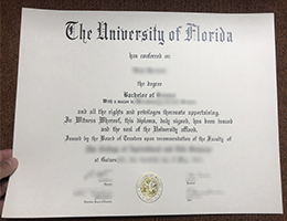 University of Florida Qualification, UF Credentials Credentials