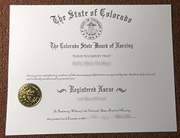 Colorado State Board of Nursing Credentials in Registered Nurse sample