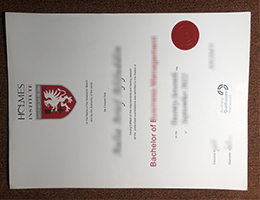 Holmes Institute Credentials