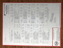 Montclair State University Academic record sample