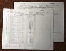 Seneca College Academic record sample