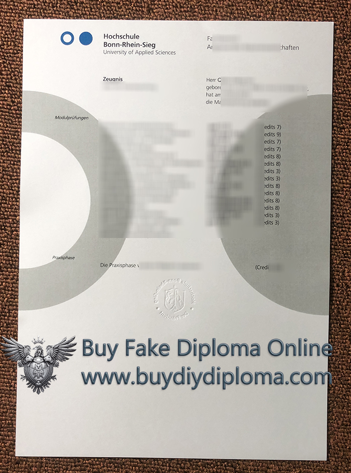 Hochschule Bonn-Rhein-Sieg Academic record