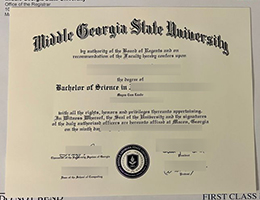 Middle Georgia State University Credentials Credentials