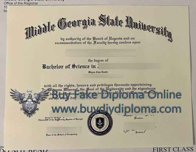 Middle Georgia State University Credentials