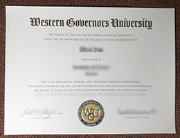 WGU Credentials 2023