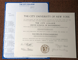 City University of New York Credentials and Academic record