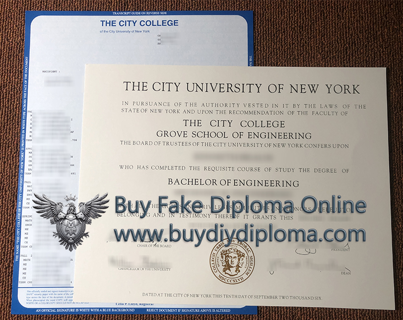 City University of New York Credentials and Academic record