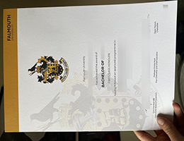 Falmouth University Qualification