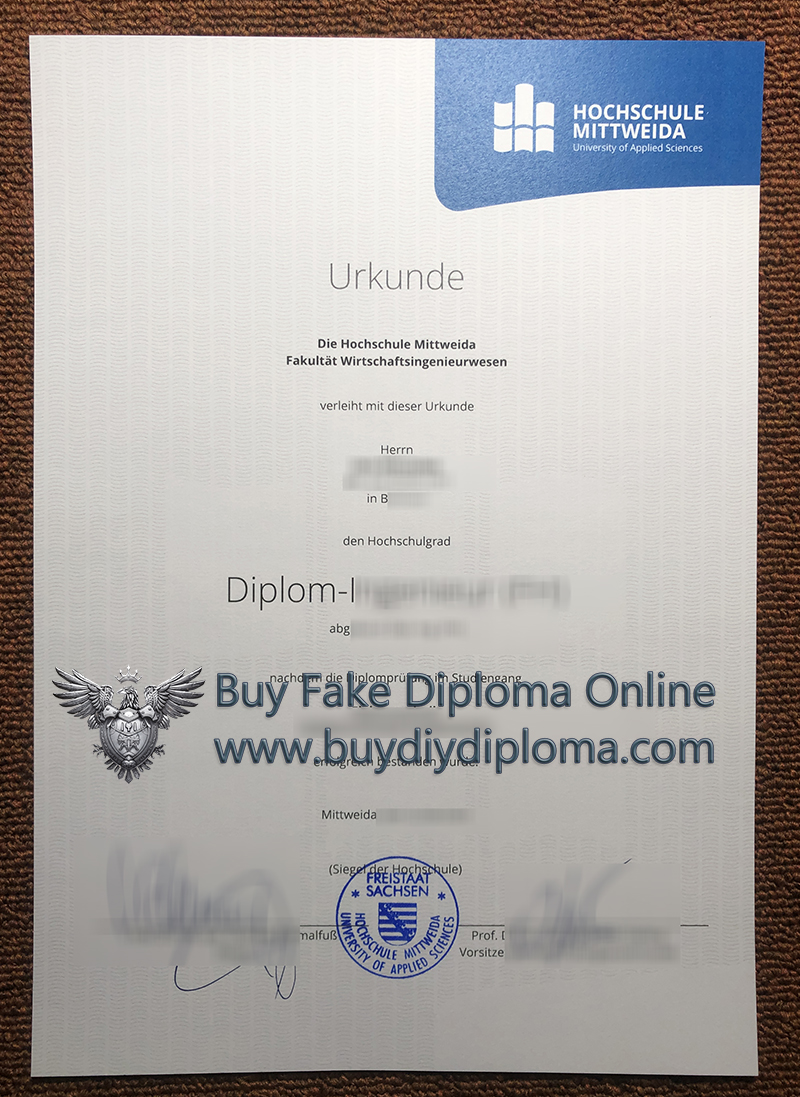 Hochschule Mittweida Credentials