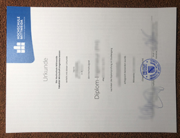 Hochschule Mittweida Credentials Credentials
