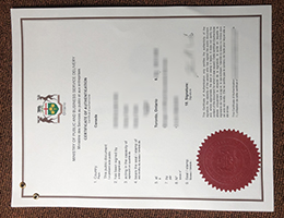 Ontario Authentication for Novelty Qualification