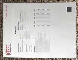 Sheffield Hallam University Academic record