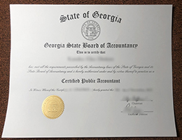 State of Georgia CPA Credentials sample