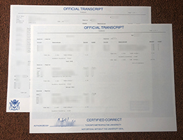 Toronto Metropolitan University Academic record