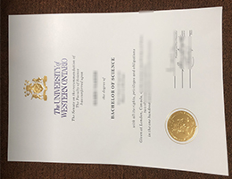 UWO BSc Credentials, Western University Qualification