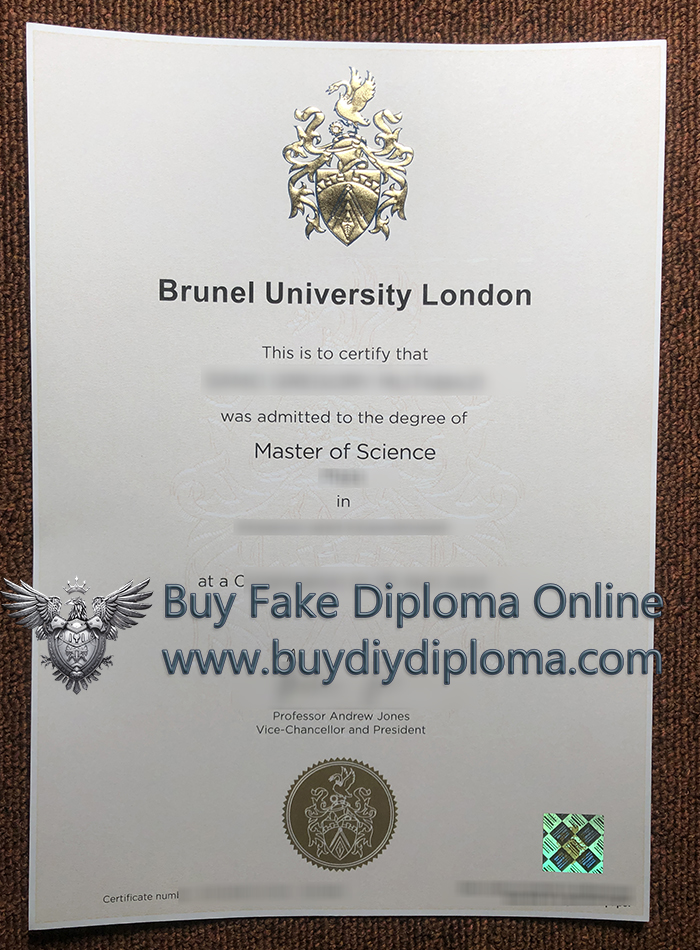 BUL MSc Qualification